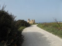 long shot of torre chianca